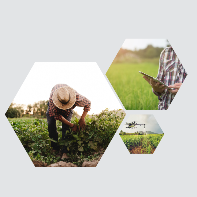 Digitalización justa en el campo